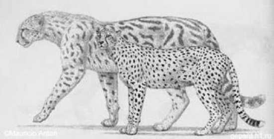  Los 7 mayores felinos prehistóricos